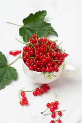 red currants in a white bowl.
