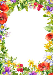 Botanical illustration for floral card. Field flowers, meadow grass. Watercolor frame, border, blank
