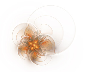 Abstract autumnal fractal flower on a white background