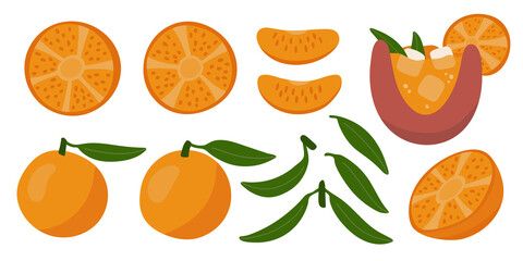 Oranges and tangerines. Set of juicy fruits for summer design. Modern illustration in flat style. Whole fruits, slices, leaves. Bright colorful elements.