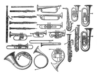 Blow instruments musical collection / Vintage and Antique illustration from Petit Larousse 1914  © Basicmoments