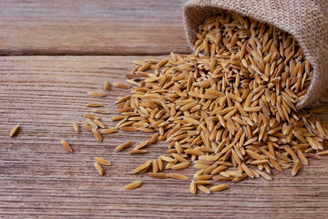 Dry paddy rice in hemp sack isolated on rustic wood table background.