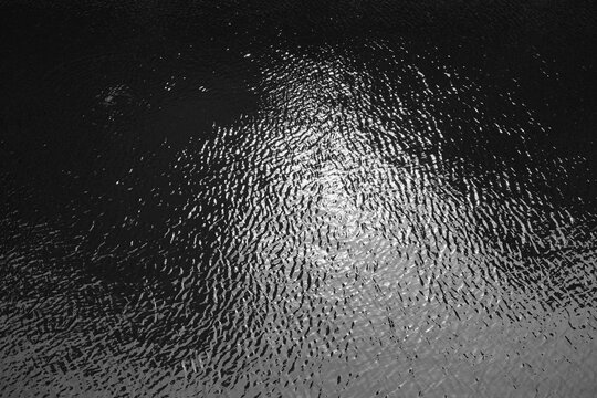 川面 Images Browse 9,109 Stock Photos, Vectors, and Video Adobe Stock