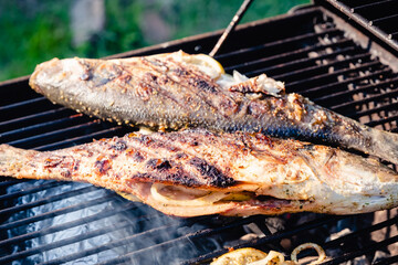 Grilled Sea Bass on a charcoal grill
