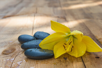 Relax or spa concept. Yellow lily and black massage stones with waterdrops on wet wooden background