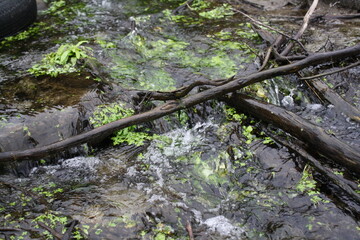 Flowing water in a small stream