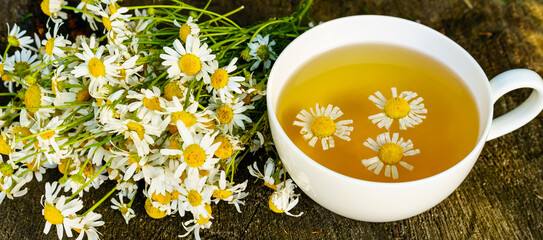 Chamomile flowers and a white cup with chamomile tea 