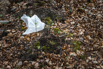 Littering in the forest - a plastic bag on the ground