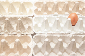 One egg with a number in empty cartons symbolizing mass production