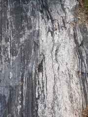 gneiss on rainwater texture 1