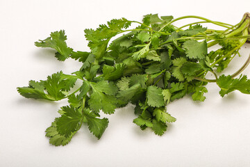 Green coriander or cilanto leaves heap