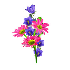 Creative composition with the image of garden flowers. Spring and summer flowers close-up on a white background, imitation watercolor, vintage. Design for printing on paper or fabric.