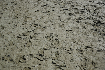 Textured of footprints on the mud after low tide