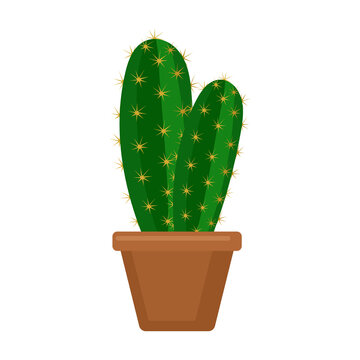 Houseplant cacti vector cartoon icon. Vector illustration cactus on white background. Isolated cartoon illustration icon houseplant cacti.