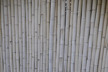 bamboo fence background