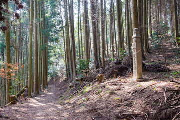 Koyasan choishi-michi in Kudoyama, Wakayama, Japan. It is part of the 