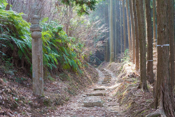 Koyasan choishi-michi in Kudoyama, Wakayama, Japan. It is part of the "Sacred Sites and Pilgrimage Routes in the Kii Mountain Range" UNESCO World Heritage Site.