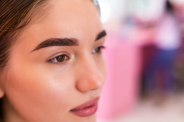 Make-up artist woman eyebrows close up. Professional makeup and cosmetology skin care.