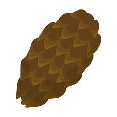 Cone pine isolated cartoon icon. Vector illustration spruce pinecone on white background. Vector cartoon illustration icon cone pine.