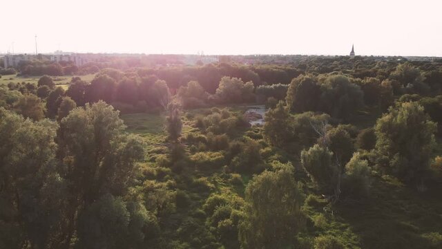 climbing up and rising above oude landen nature park in Ekeren, Antwerp, Belgium