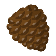 Cone pine isolated cartoon icon. Vector illustration spruce pinecone on white background. Vector cartoon illustration icon cone pine.
