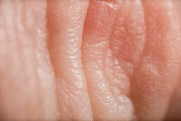 Detailed macro photo of human skin. Detailed texture. Closeup background