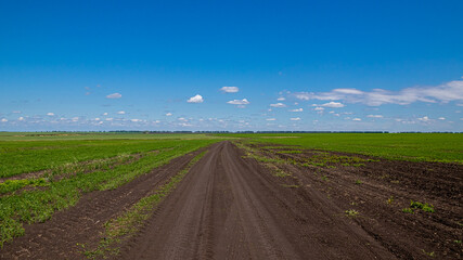 Fototapeta na wymiar A dirt road running through bright green fields against a blue sky