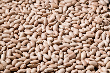 Alubias, fabes pintes, judias. Asturias, España, europa