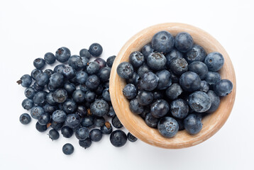Arándano negro (Vaccinium uliginosum) sobre fondo blanco.