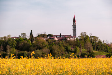 Fields of colza in front of an italian village