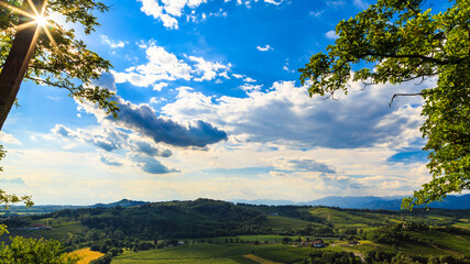 The beautiful vineyard of Collio, Friuli Venezia-Giulia, Italy
