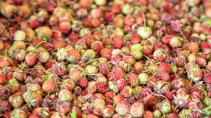 A lot of wild berries spread out on the table