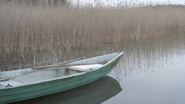 The tall grasses on the side of the lake in southern Finland.geology shot
