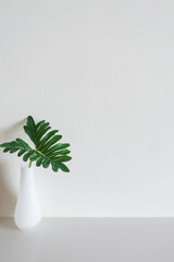 Wall mockup with philodendron leaf in vase on white surface. Copy space.