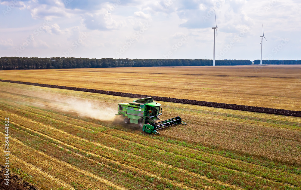 Fototapete harvesting machine working in the field. top view from the drone.