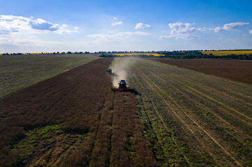 Obraz premium Modern combine harvester working on a wheat crop. Drone shot!