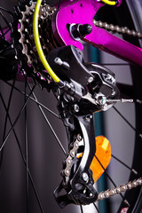 Obraz premium Bicycle parts rear wheel brake disc. Macro shot!