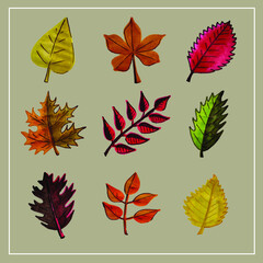 Autumn set of leaves of different trees. Yellow, red, orange, maple, birch, oak. Hand-painted, watercolor. Vector isolated objects.