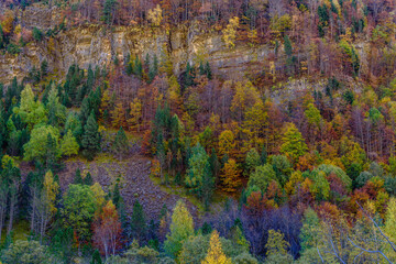 Colorful trees autumn landscape (Spain, Ordesa Canyon)