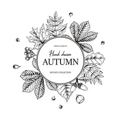 Hand drawn circle autumn botanical frame with falling leaves, acorn and berries. Vector illustration in sketch style isolated on white. Realistic forest design elements Space for text