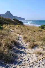 Fototapeta na wymiar A sandy pathway to the sea through beach grasses. Pukehina Beach in the Bay of Plenty, New Zealand