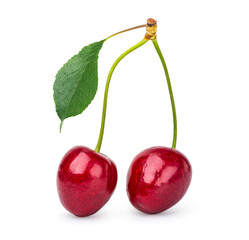 Two cherries isolated