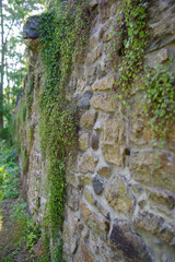 Full frame long view of Victorian stone wall with French drain architectural feature and green ivy. High quality photo with rough stone texture, soft ivy, shot in natural light with copy space.