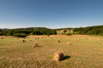 Haystacks on Dubasnica mountain in eastern Serbia near the city of Bor