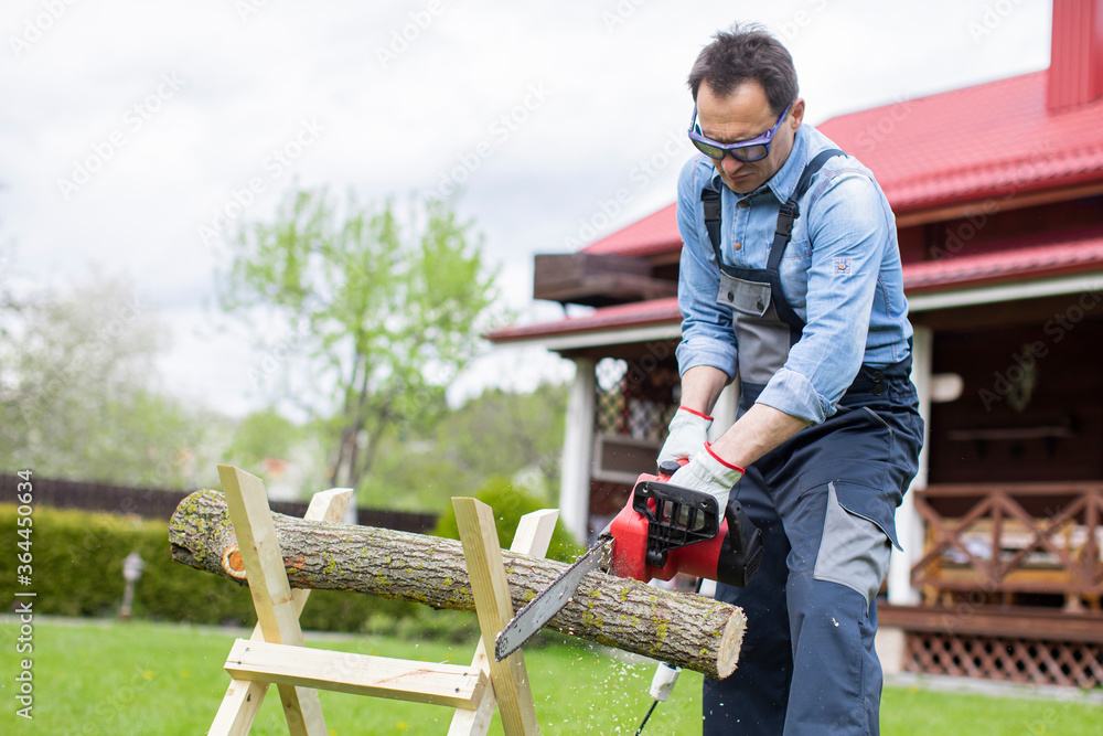 Wall mural man sawing wood preparing for heating in winter. chainsaw and lumberjack cutting trees outdoors on h