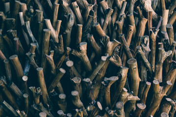 Exactly trimmed cuttings of branches without bark. Composition of wood.
