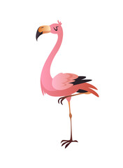 Pink flamingo. Cute beautiful jungle or zoo cartoon bird, wildlife exotic print. Vector single isolated illustration