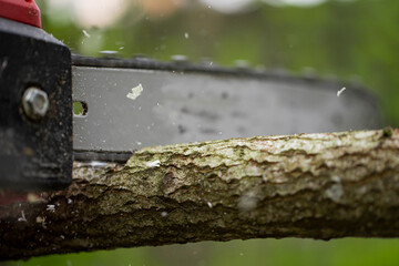 Chainsaw in action cutting wood. Man cutting tree trunk into logs with saw. Close up of woodcutter sawing, saw in motion, sawdust fly to sides. Wood work, cutting tools, timber