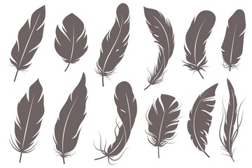 Feather silhouettes. Different feathering birds, graphic simple shapes pen decorative elements, gray elegant sketch plume wings vector set