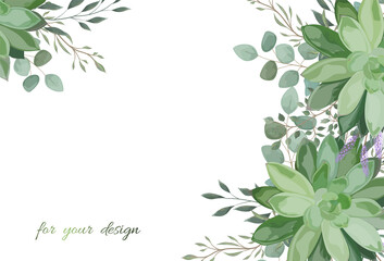 Beautiful background with Succulent flowers. Vector illustration. EPS 10.